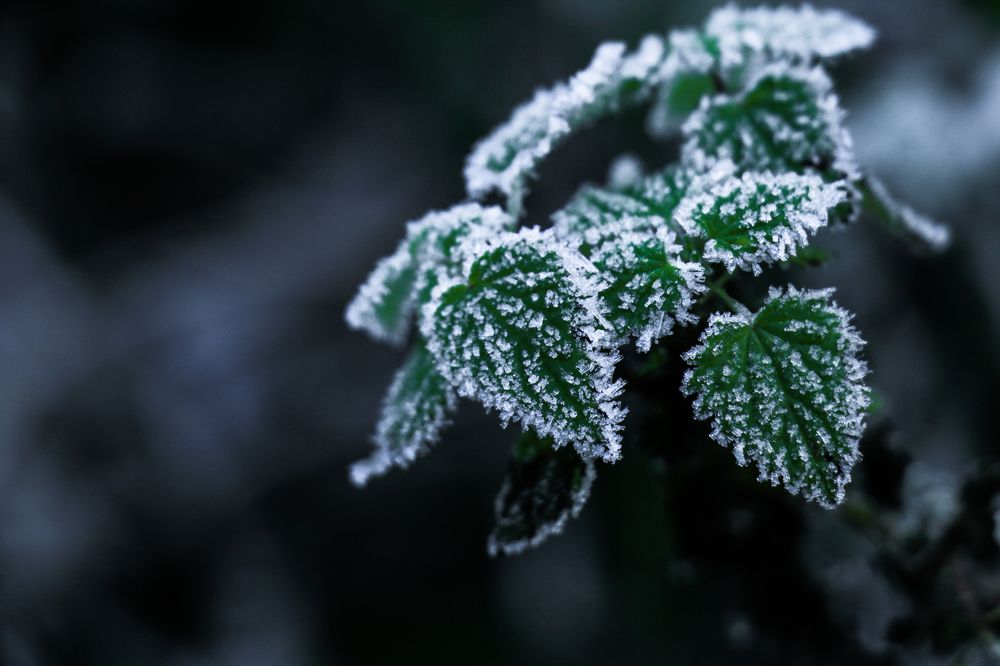 Photograph by Aleksandra