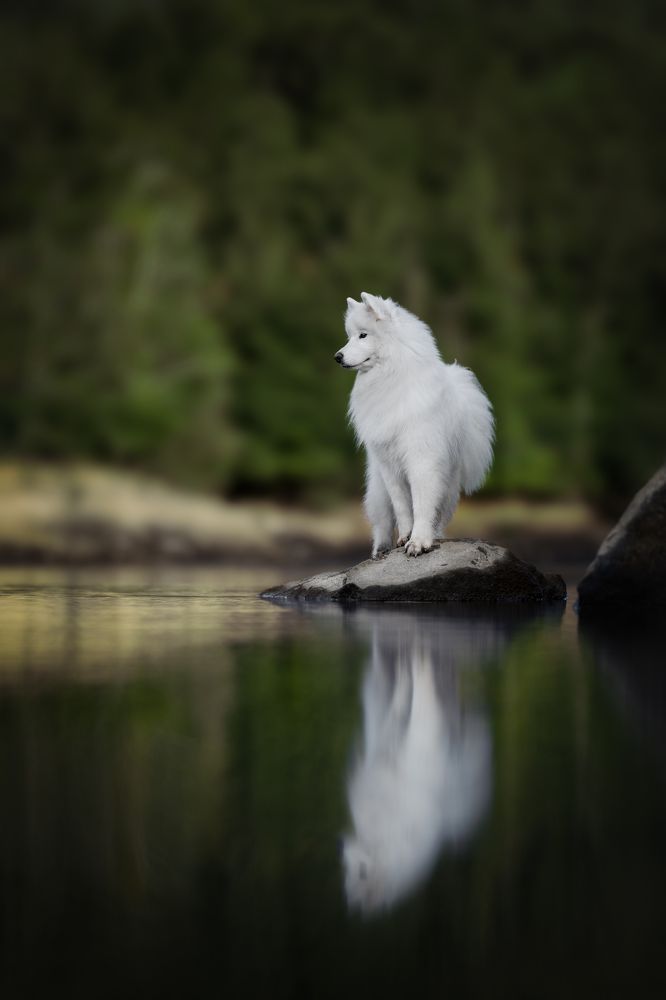 Фотография автора Rut Casanellas