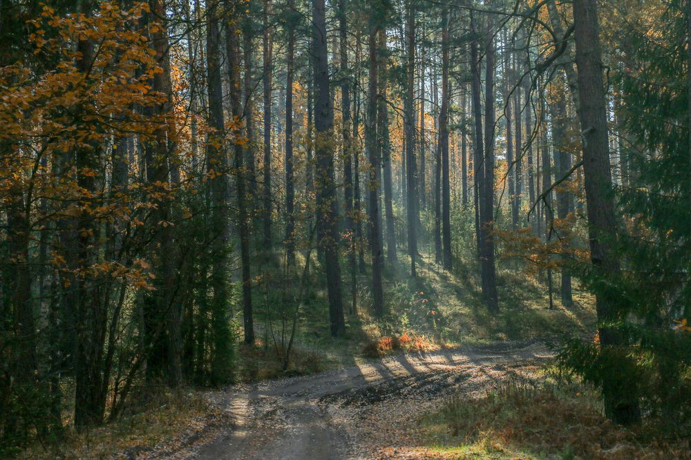 Photograph by Aleksandra