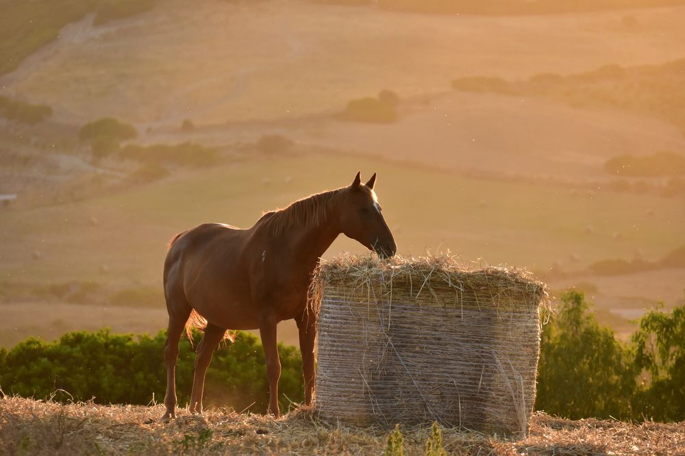 Photograph by Никуличева Екатерина