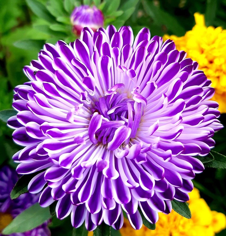 Фотография автора Ирина Лукьянчик