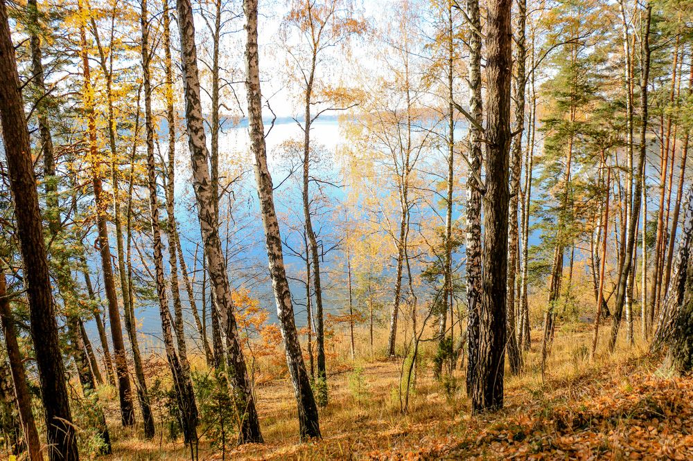 Photograph by Aleksandra