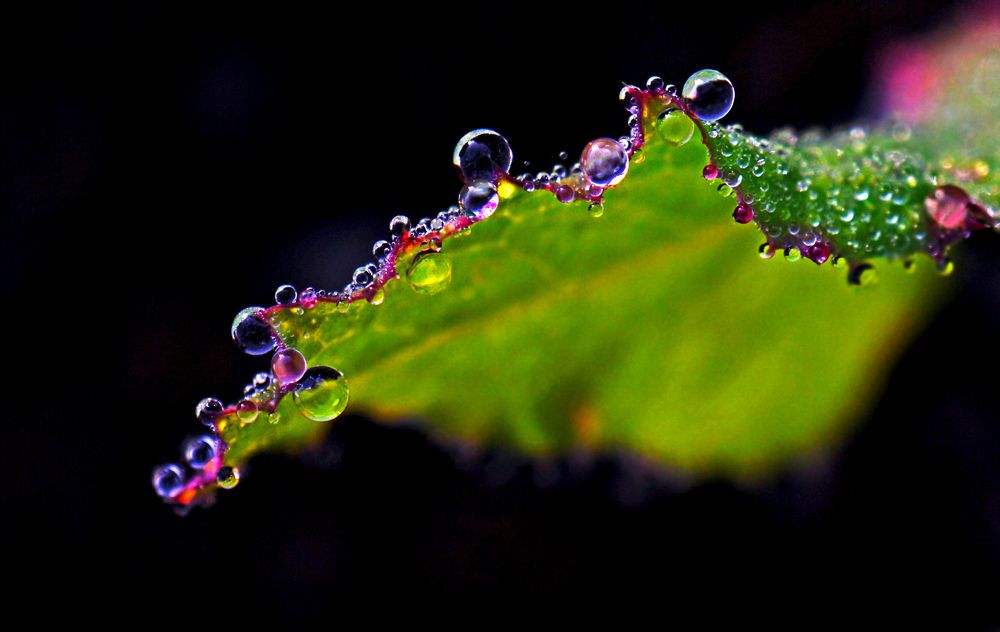 Photograph by Наталья Соколова