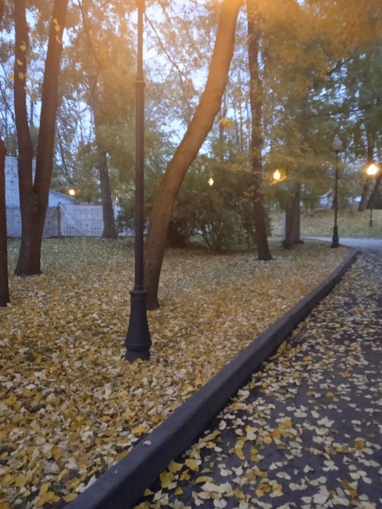 Photograph by Георгий Галкин