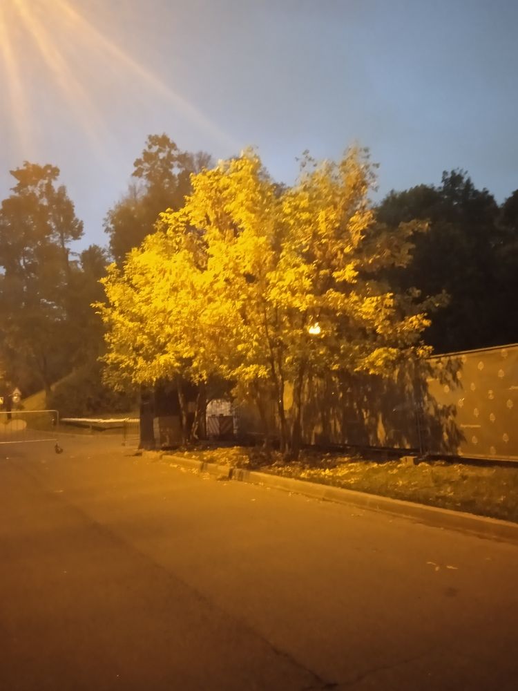 Photograph by Георгий Галкин