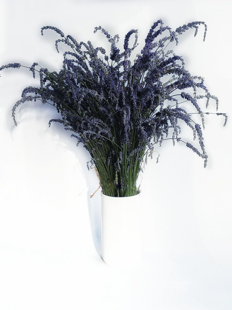 Photograph by Елена Ямнюк