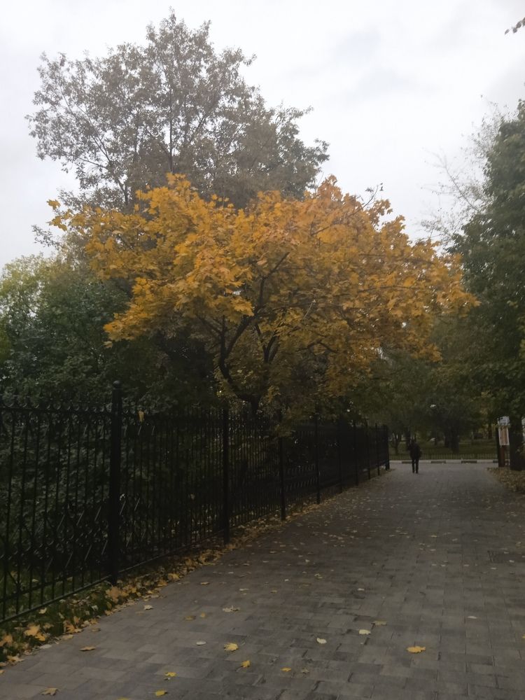 Photograph by Георгий Галкин