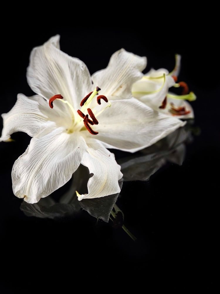 Photograph by Елена Ямнюк