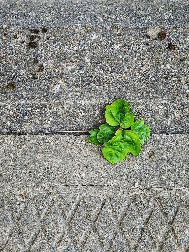 Photograph by Елена Ямнюк