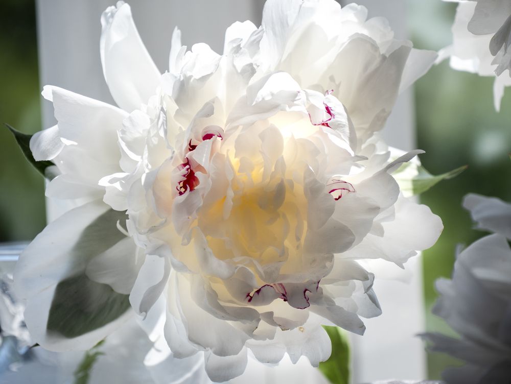 Photograph by Наталья Заровнева