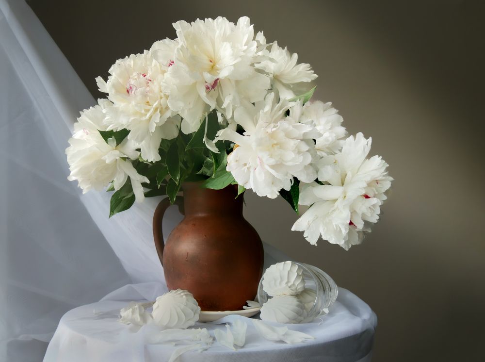 Белые пионы