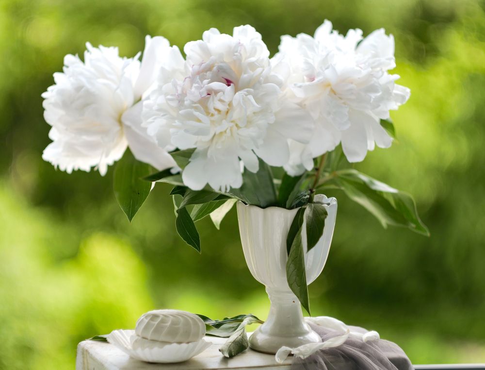 Photograph by Наталья Заровнева