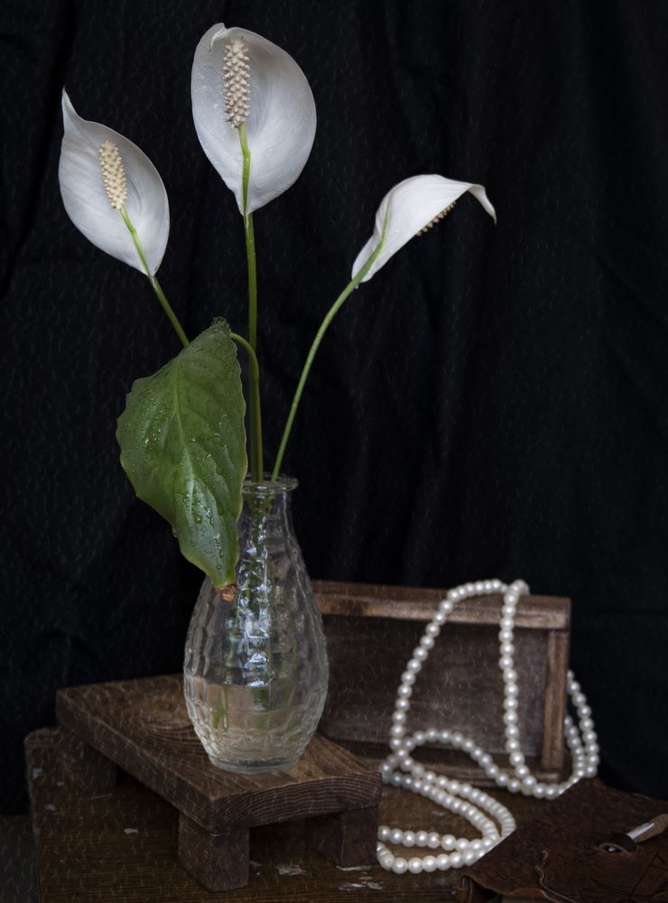 Photograph by Наталья Заровнева