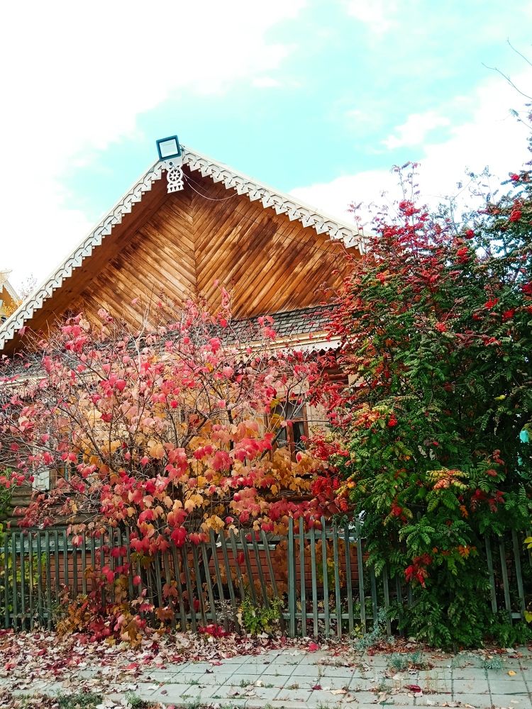 Photograph by Наталья Донковцева