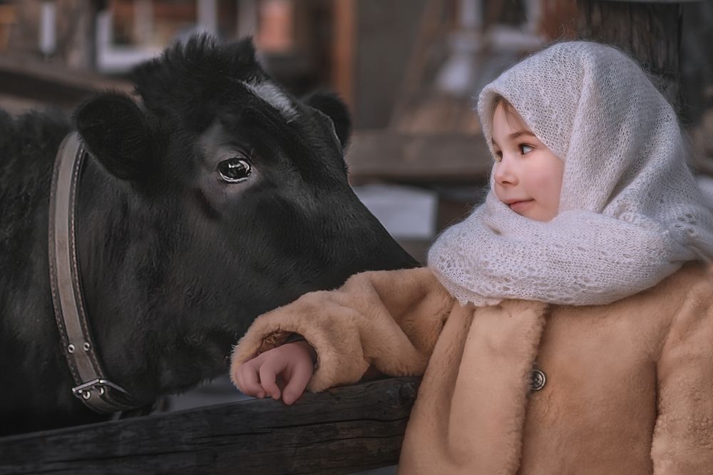 Фотография автора Галина Аверьянова