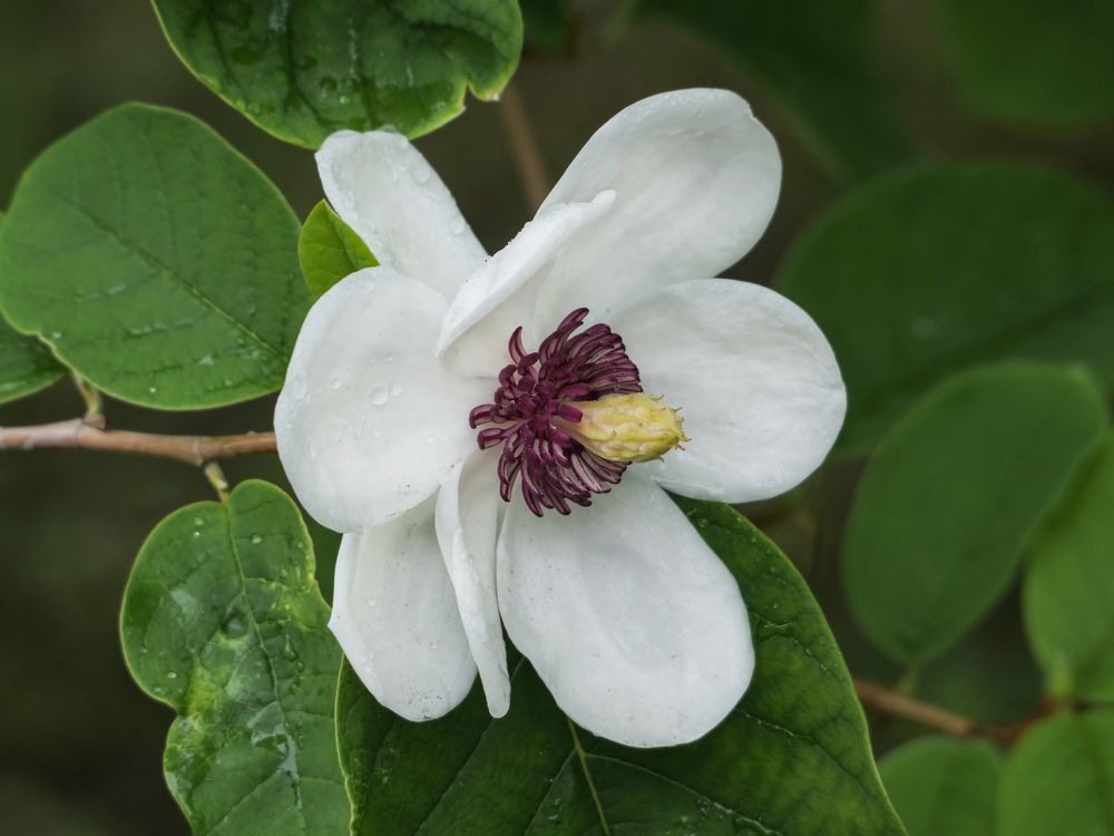 Photograph by Наталья Заровнева