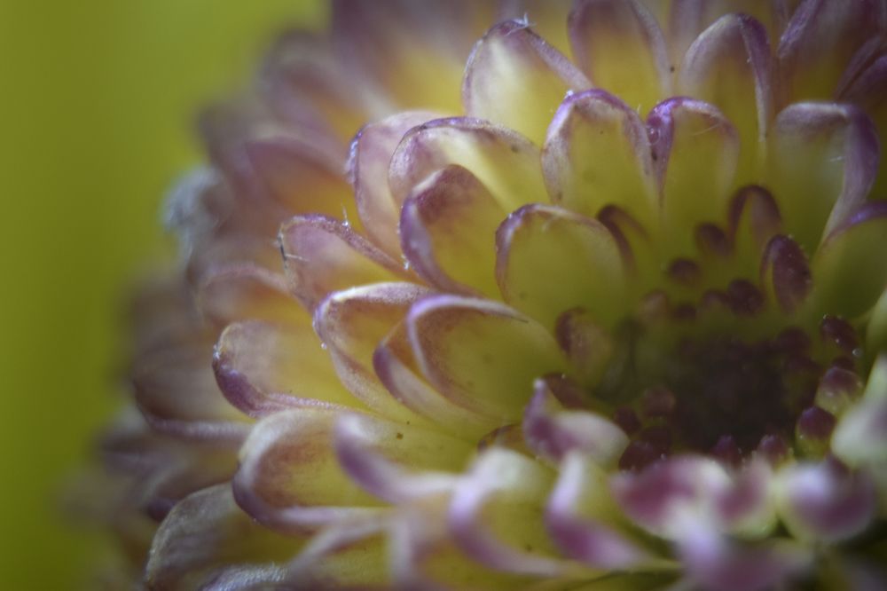 Фотография автора Ирина Шипунова