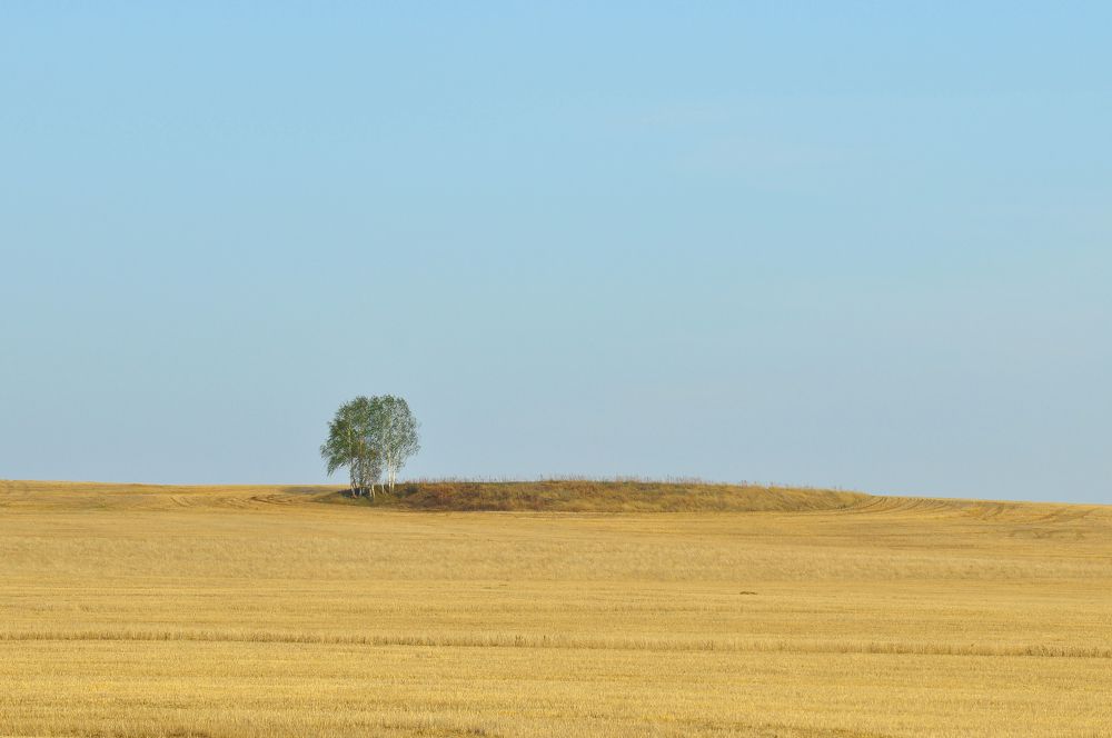 Photograph by Константин Степанов