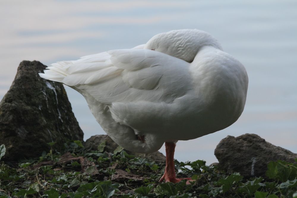 Photograph by Nadzeya