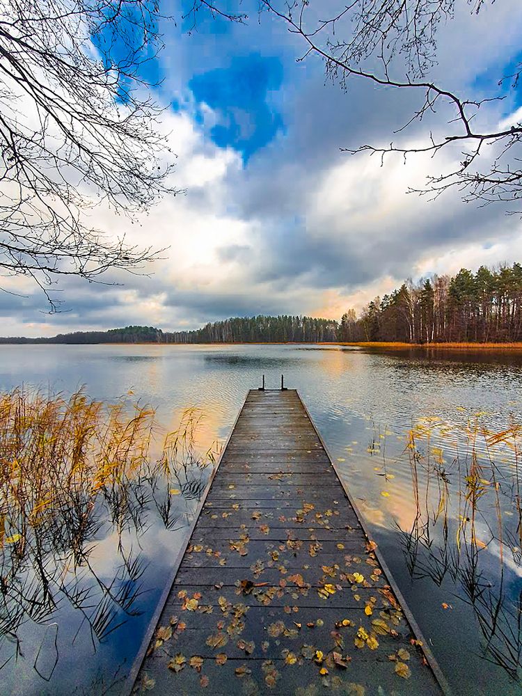 Photograph by Александра