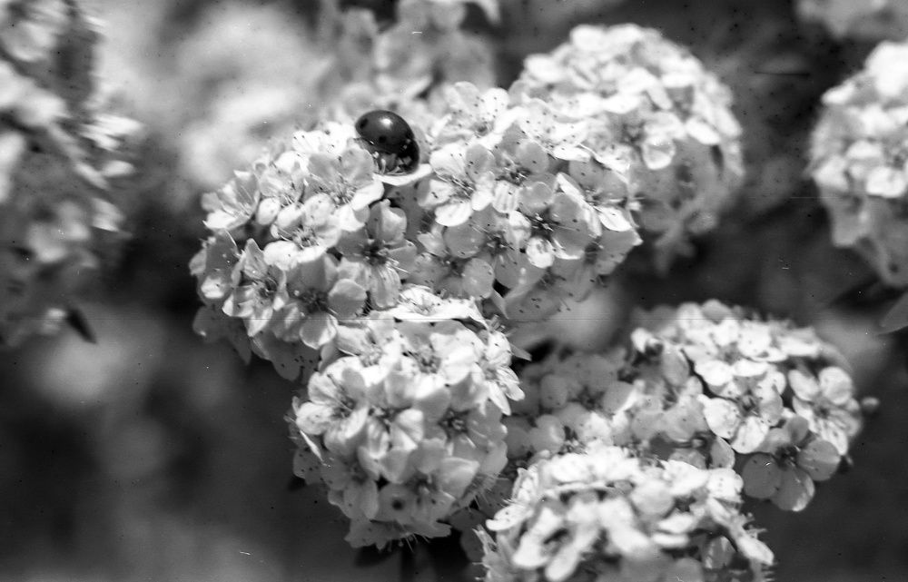 Photograph by Ксения Смирнова