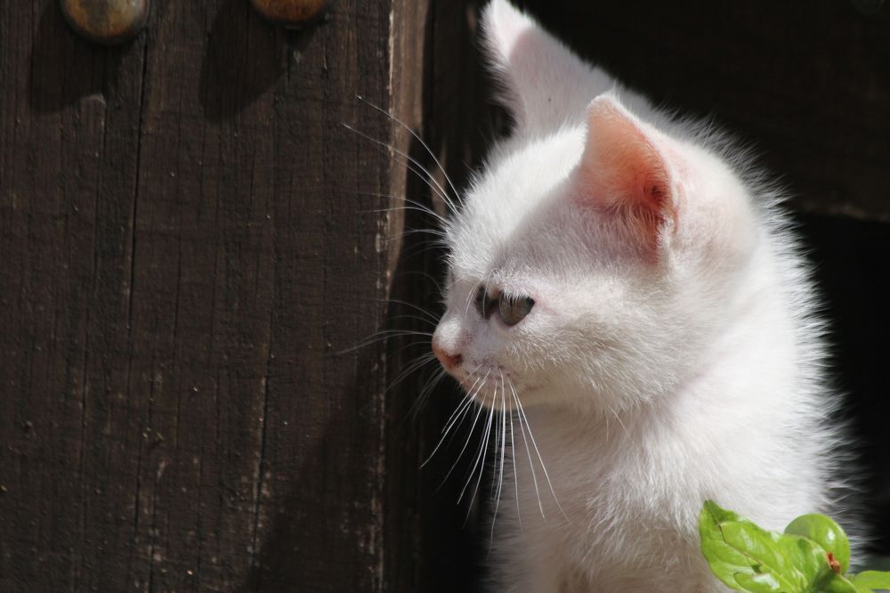 Photograph by Nadzeya