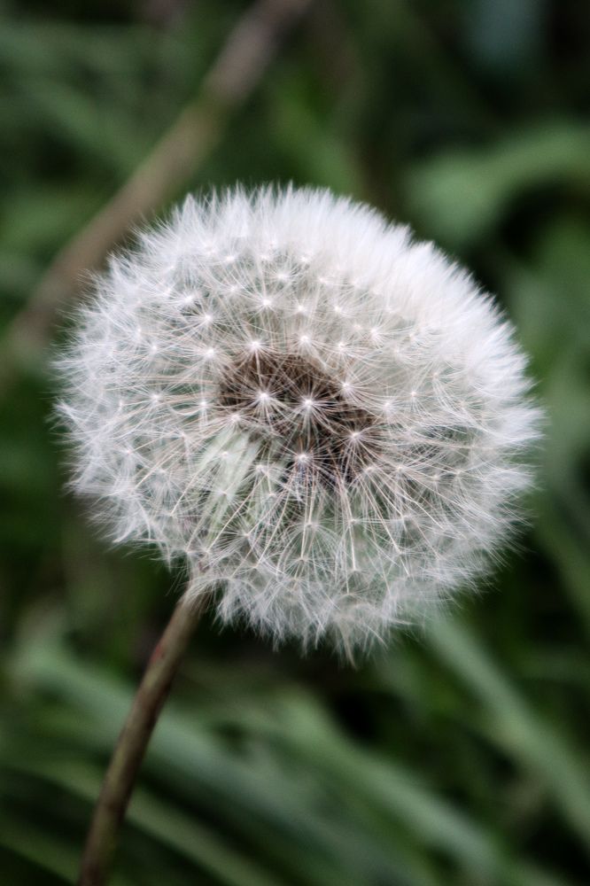 Photograph by Evgenia Korchagova