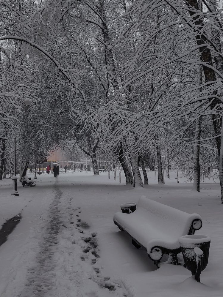 Photograph by Evgenia Korchagova