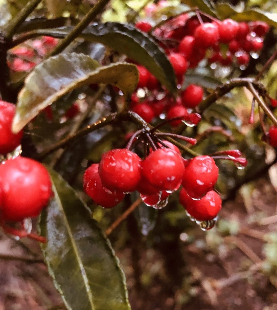 Photograph by Tina Domingos