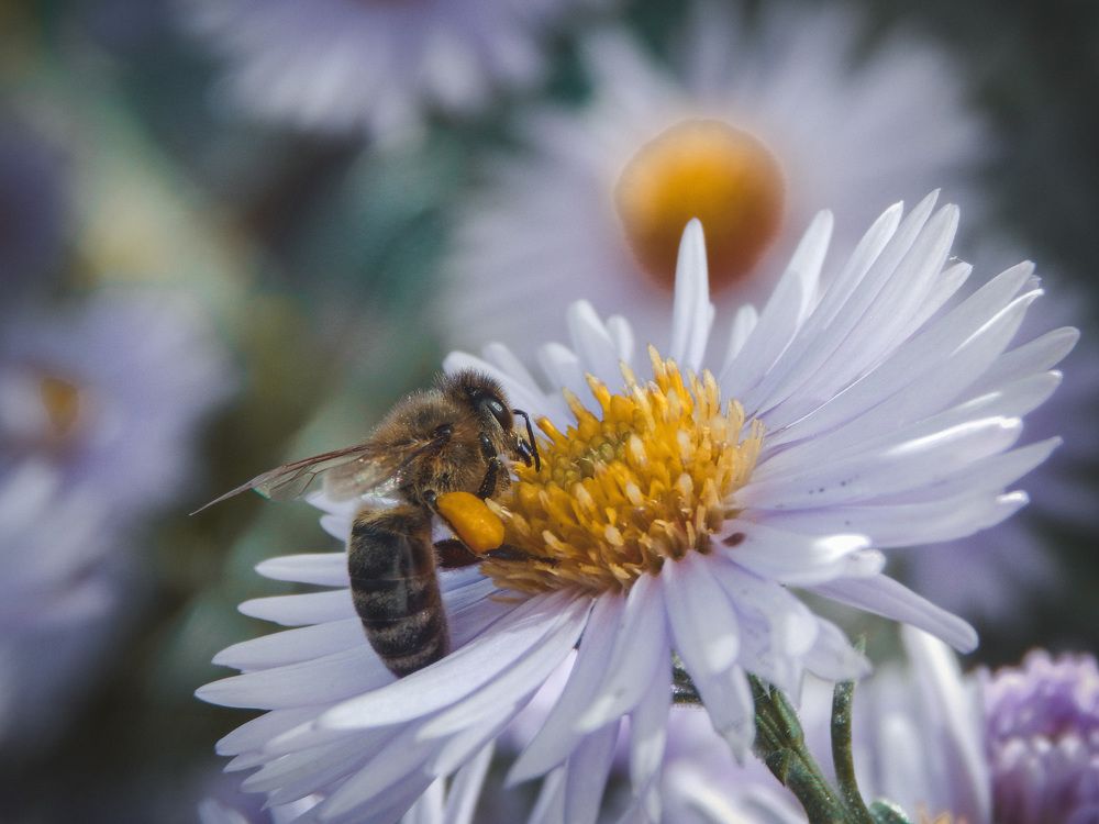 Photograph by Aлександра Чаплыгина