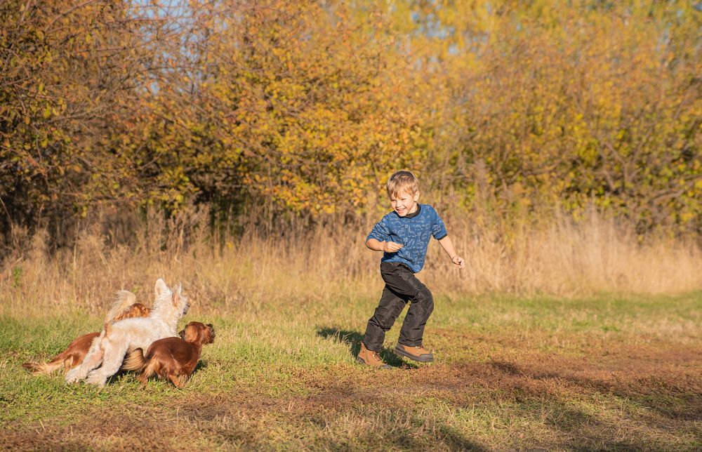 Photograph by наталья залогина