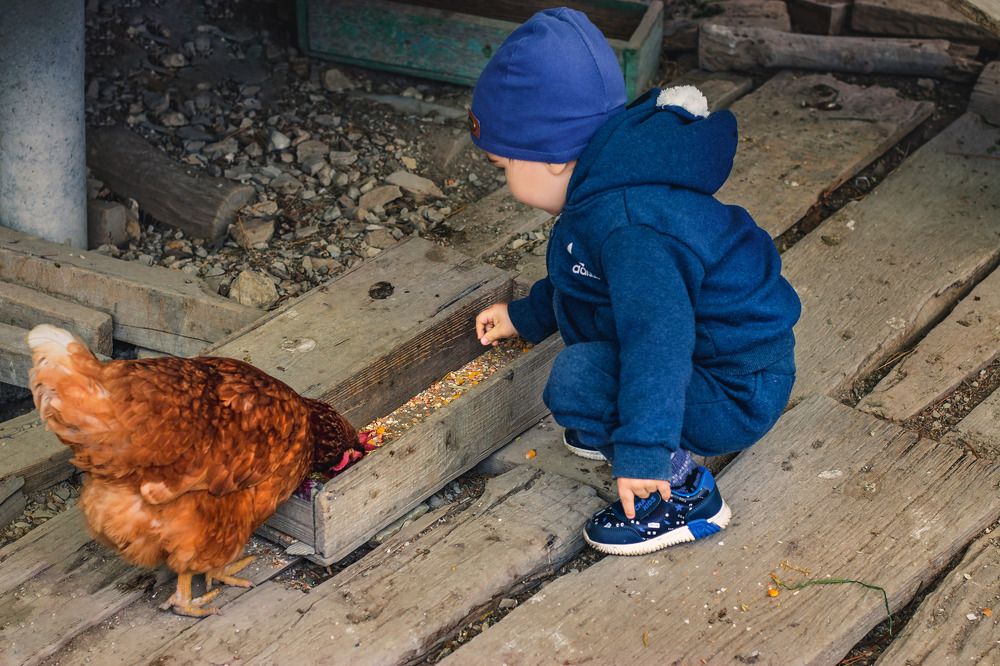 Photograph by Виталий Шкадинов