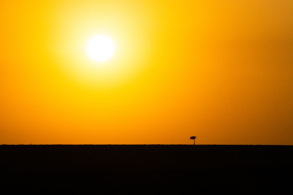 Photograph by Adrian Grigore