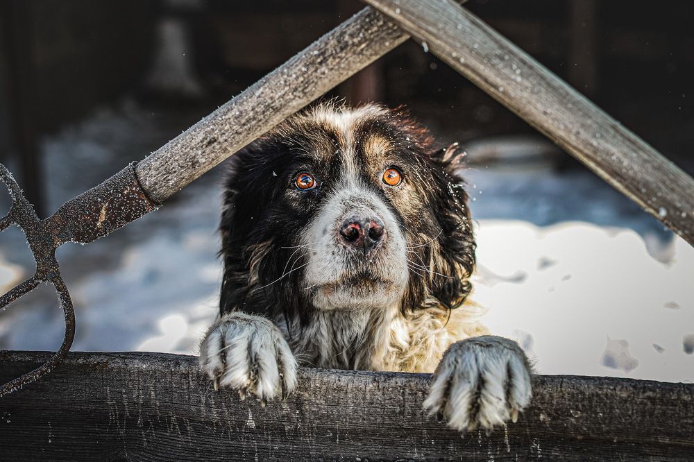 Photograph by Александр Перегоненко