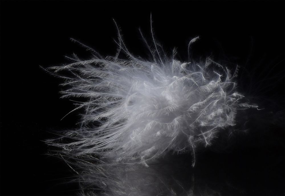 Photograph by Анна