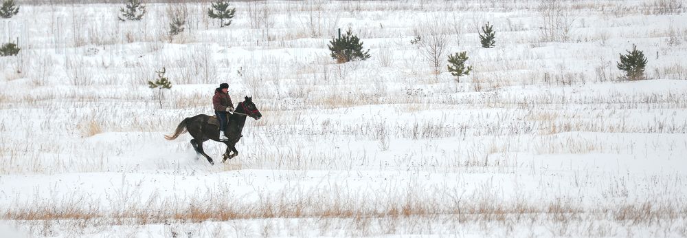 Photograph by Илья Чирков