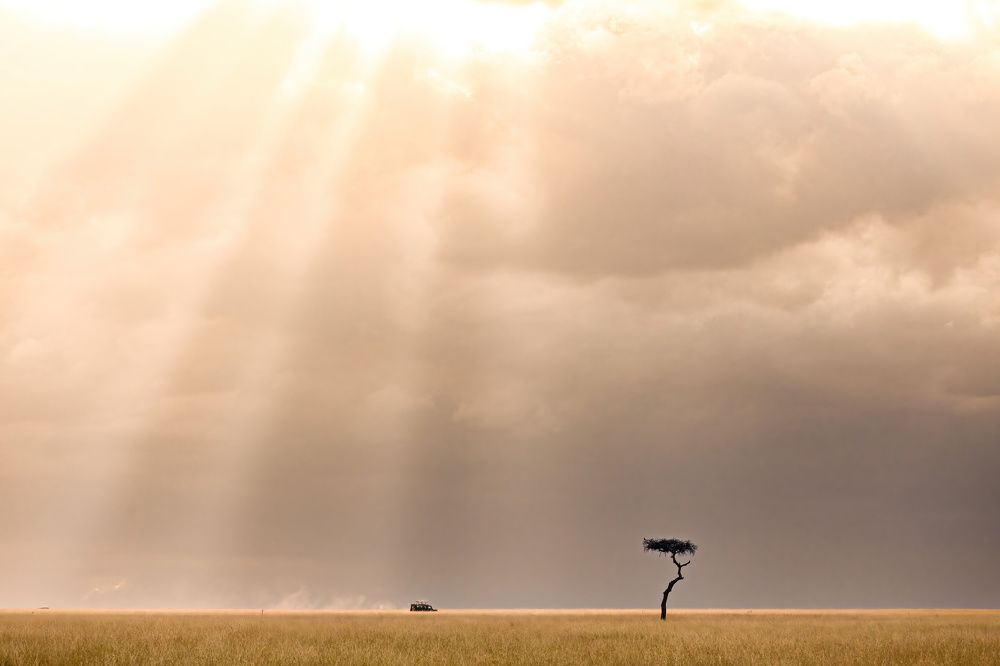 Photograph by Adrian Grigore