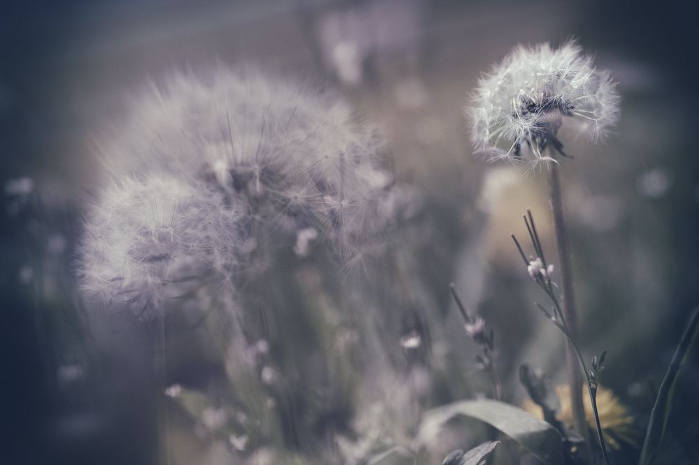 Фотография автора Martineb