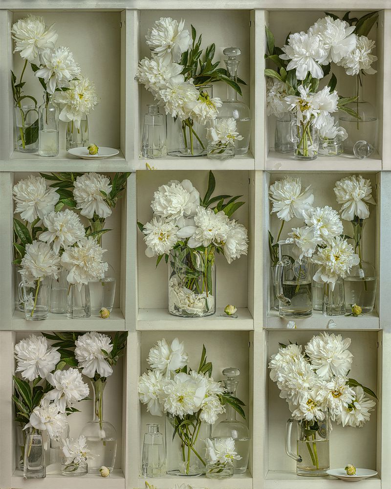 Фотография автора Ольга Афанасенко