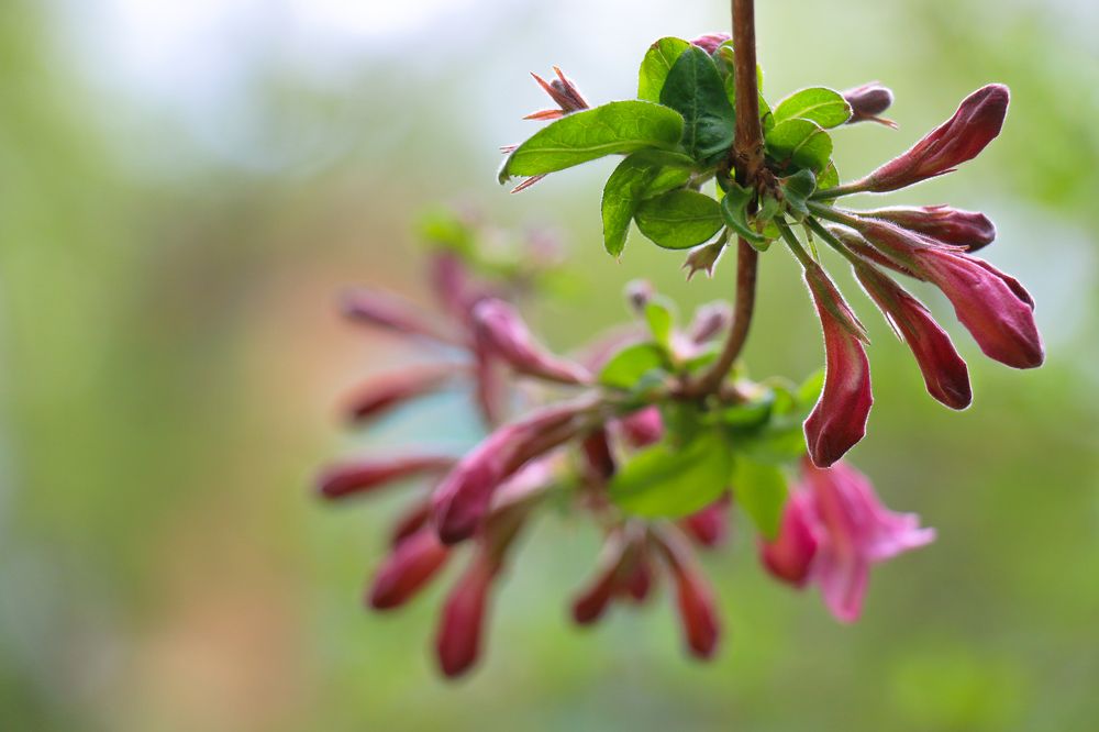 Photograph by Aleksandra