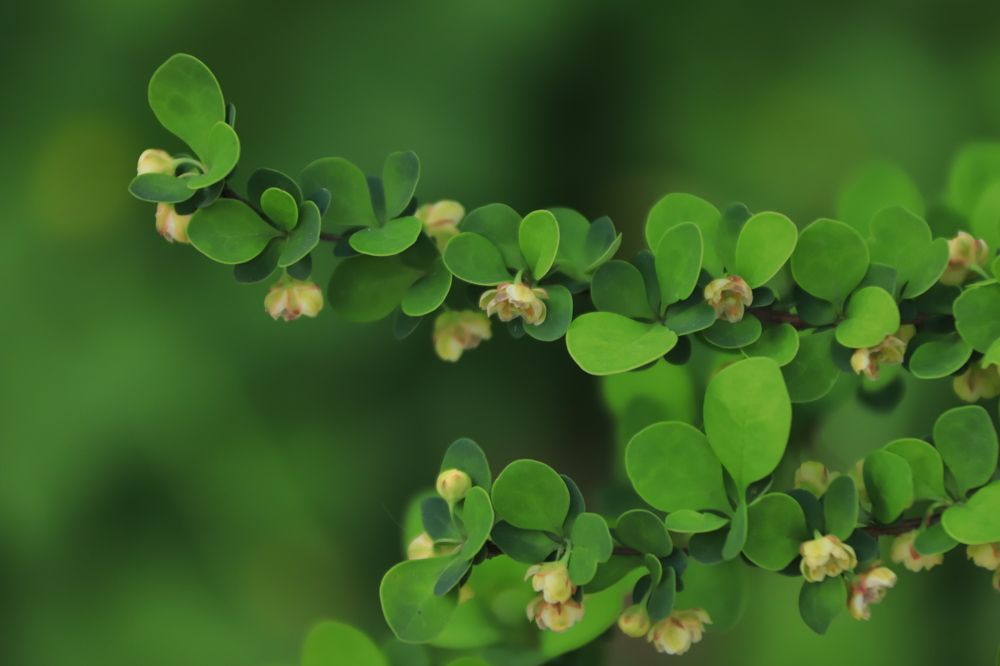 Photograph by Aleksandra