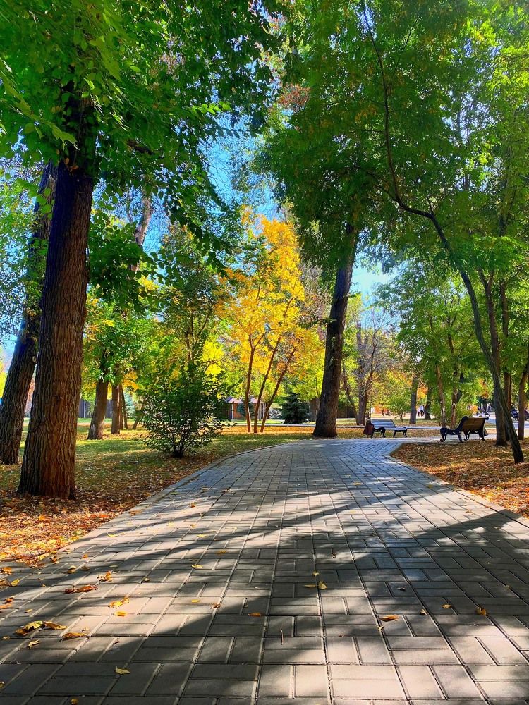 Photograph by Александр Соловьев