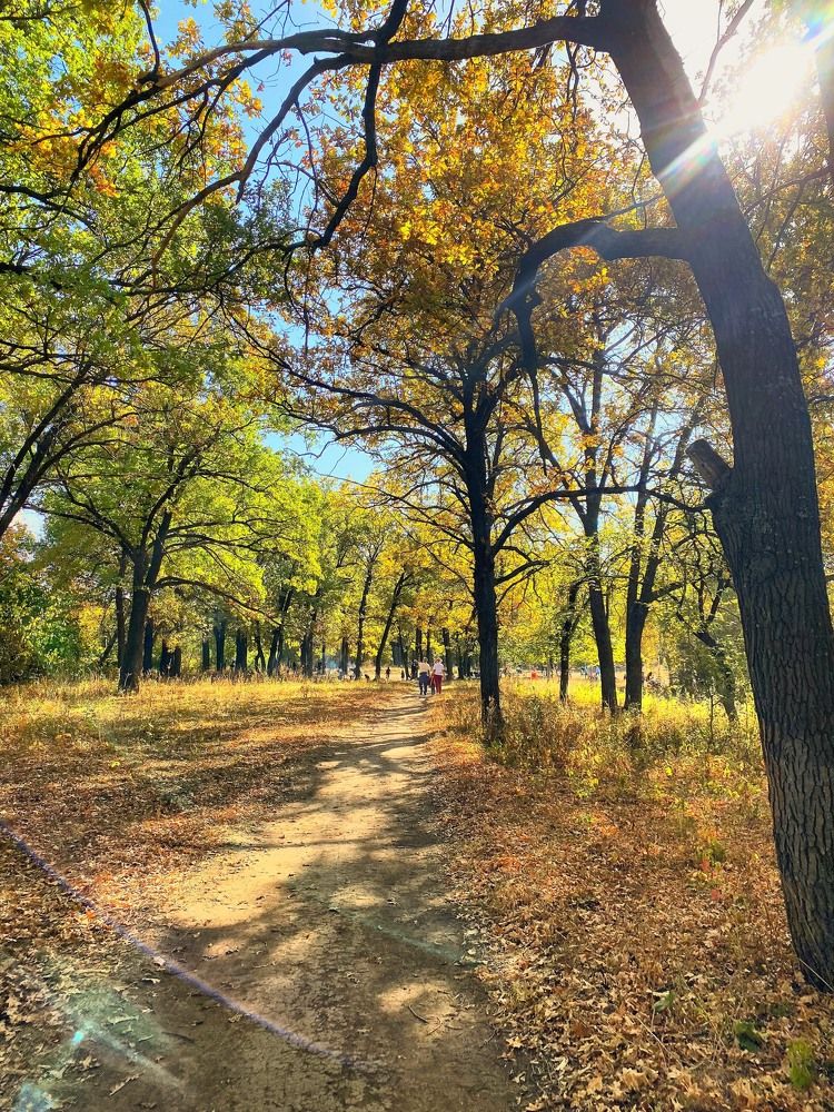 Photograph by Александр Соловьев