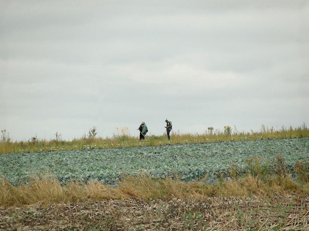 Photo #9636454
