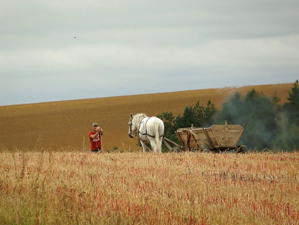 Photo #9636460