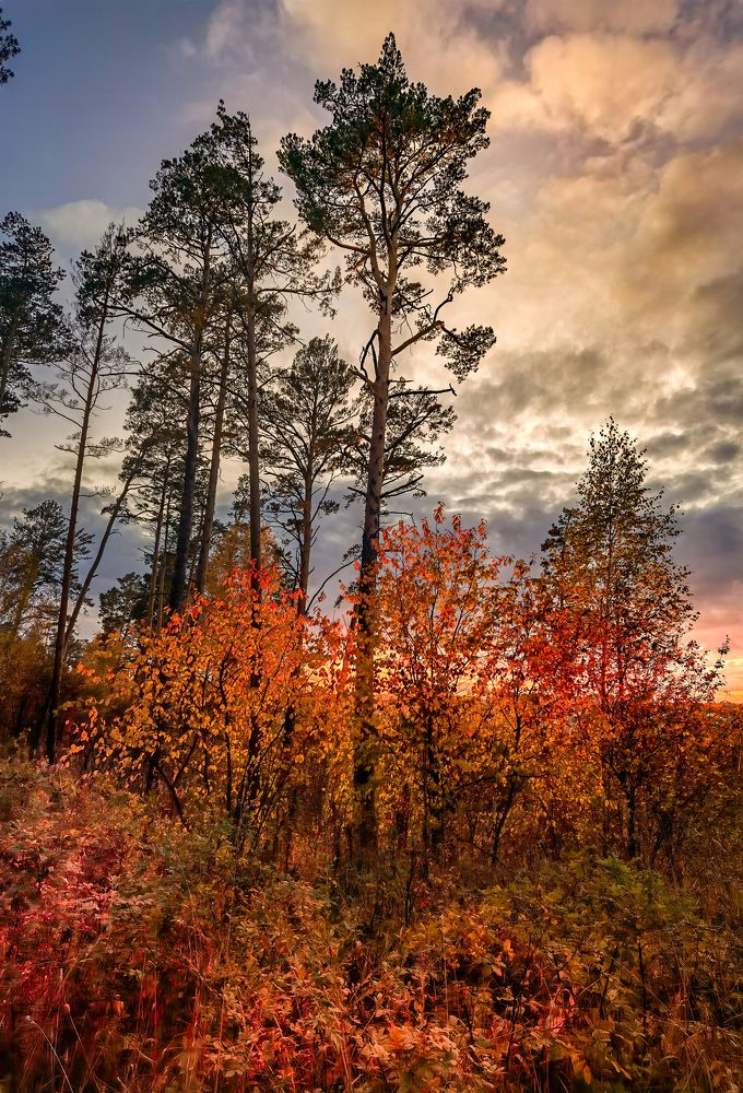 Фотография автора Наталия Разумова
