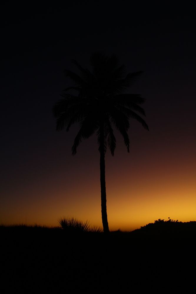 Photograph by дмитрий