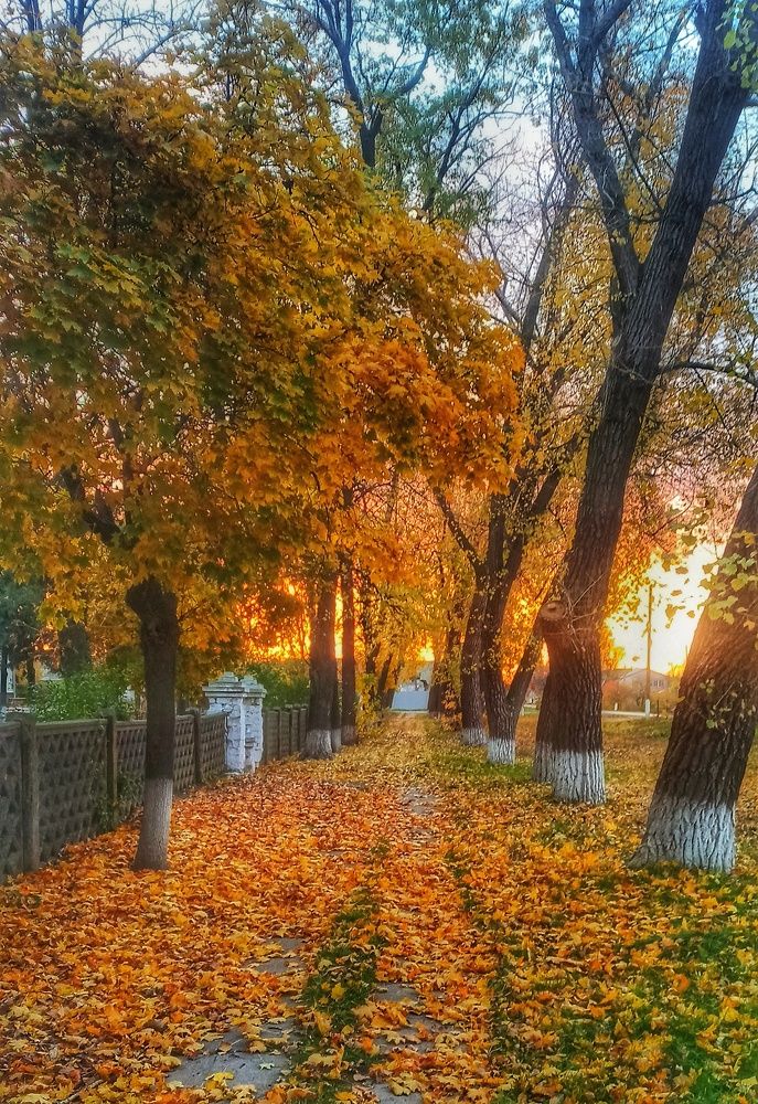 Photograph by Наталья Исиченко