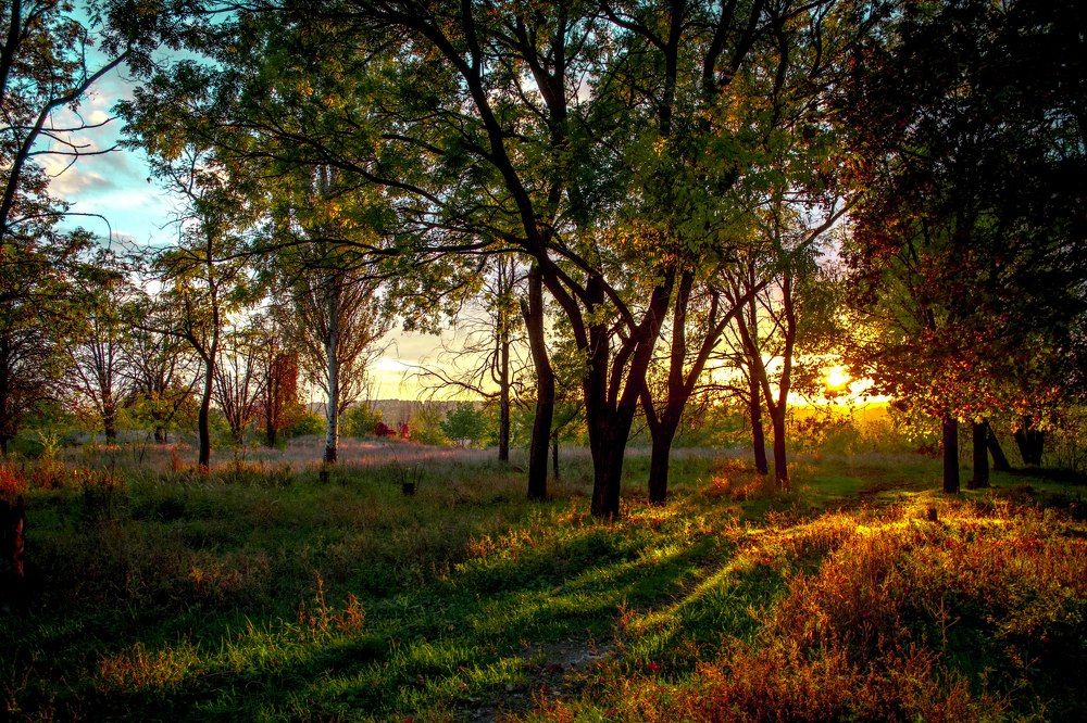 Photograph by Марина Канавченко