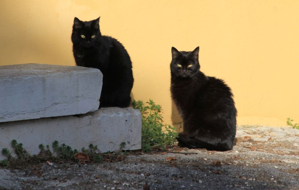 Photograph by Nadzeya